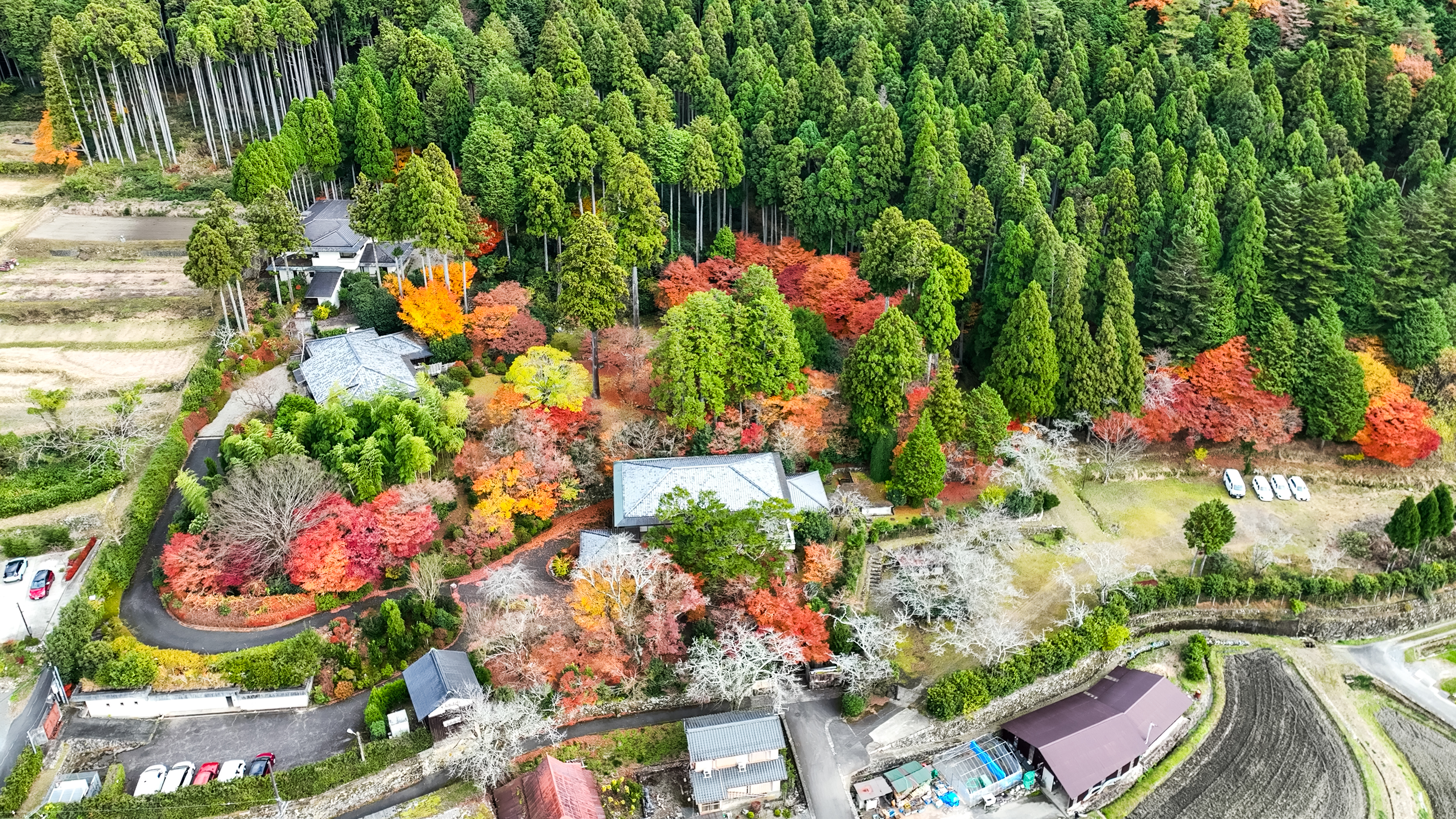 大原山荘