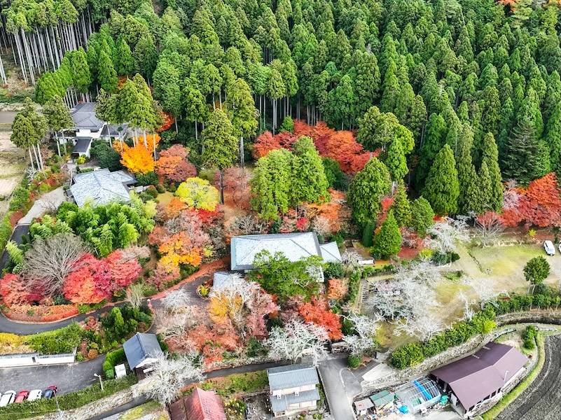 大原山荘